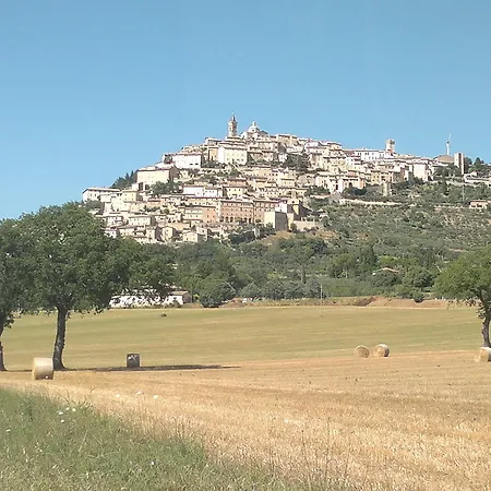 Il Borgo Dell'ulivo