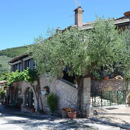 Il Borgo Dell'ulivo מלון טרווי