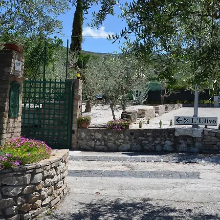 Il Borgo Dell'ulivo