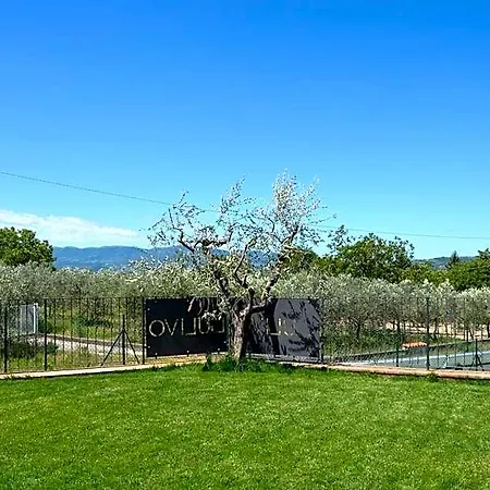 Il Borgo Dell'ulivo מלון טרווי