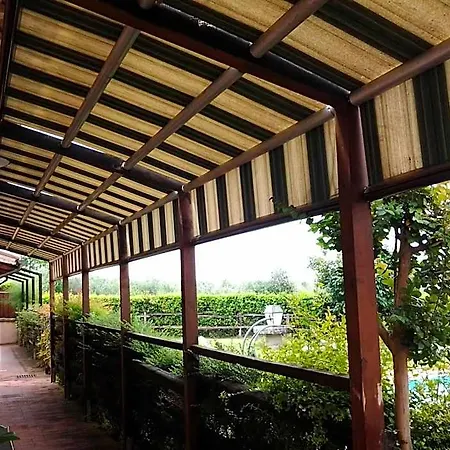 Il Borgo Dell'ulivo טרווי